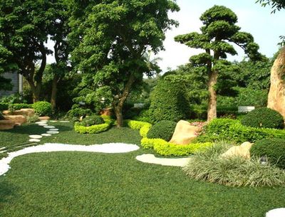 為什么要進行園林綠化養(yǎng)護