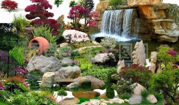 石頭 樹 園林圖片